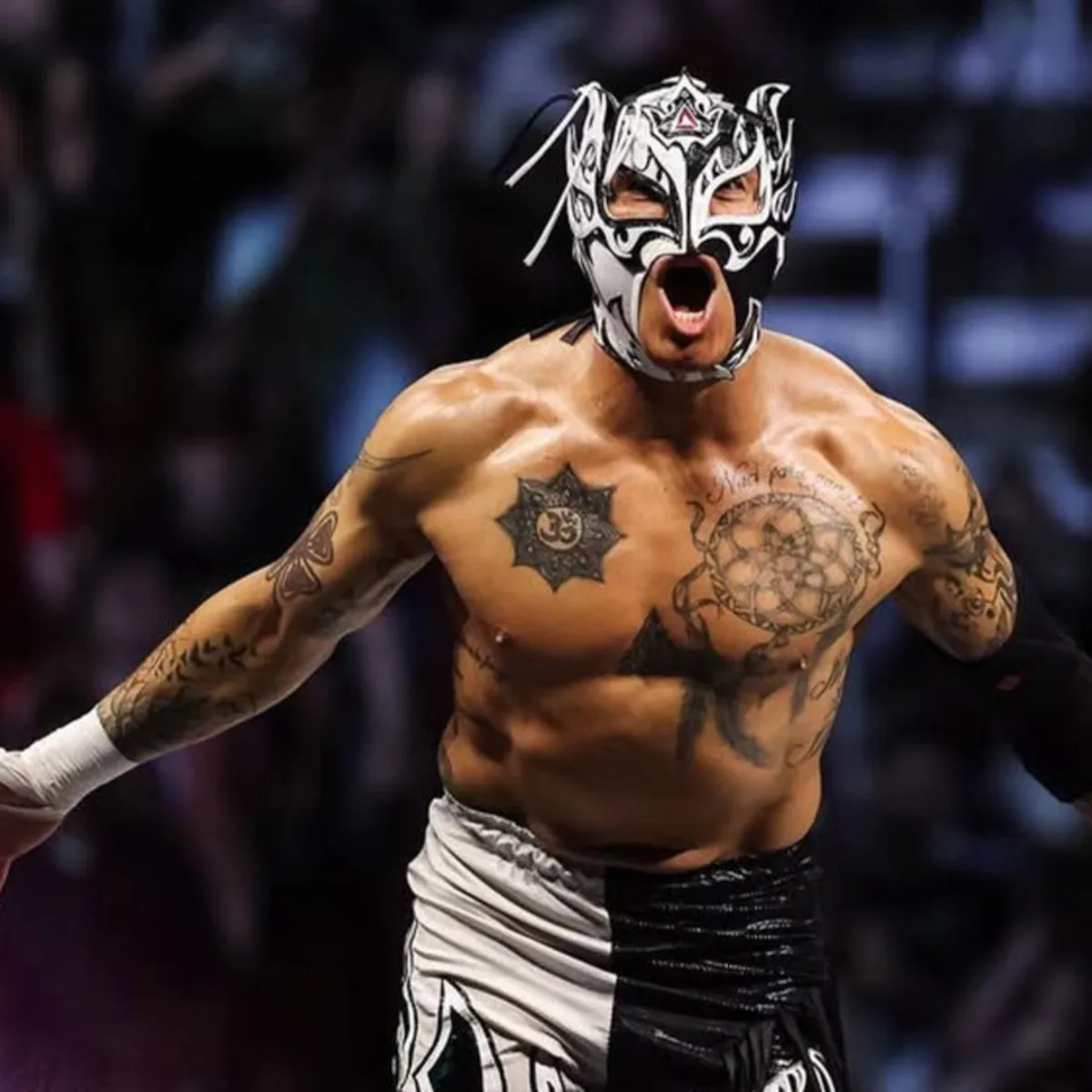 Rey Fénix