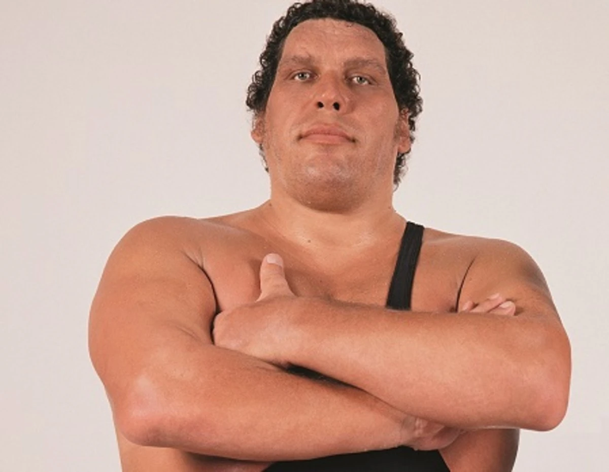 André the Giant profile image