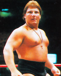 David Sammartino profile image