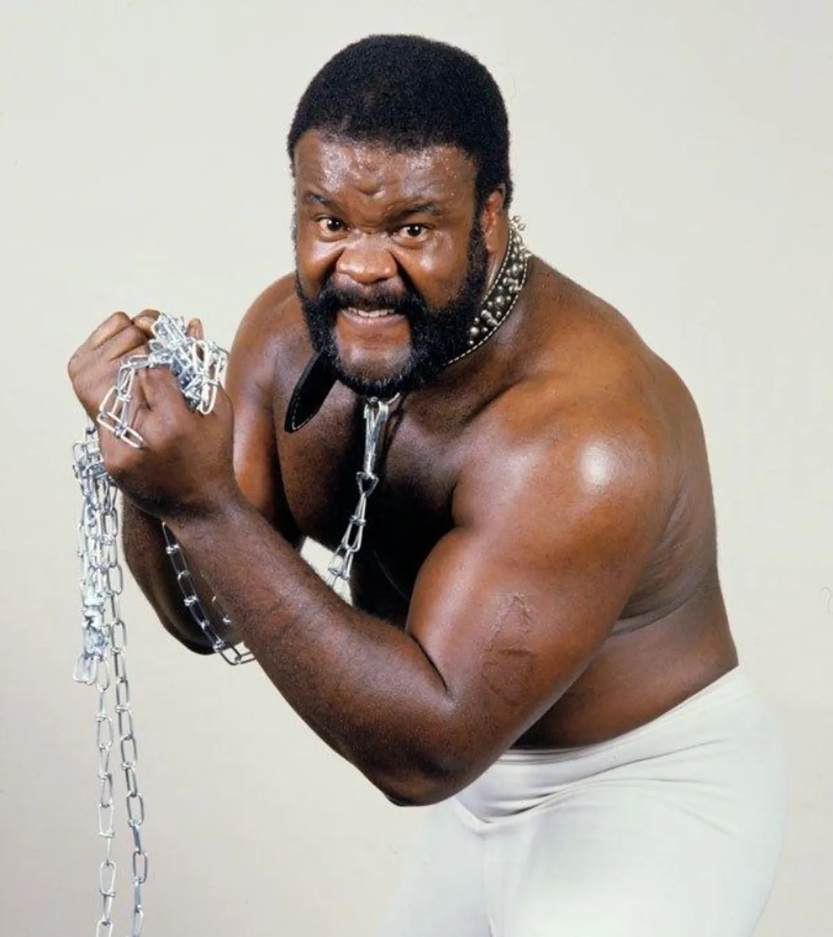 The Junkyard Dog profile image